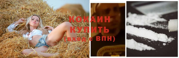 крисы Абдулино