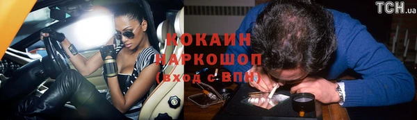 прущие грибы Абаза