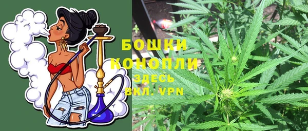 прущие грибы Абаза