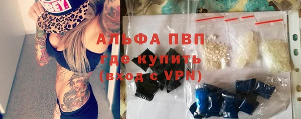прущие грибы Абаза