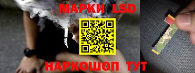 мяу мяу мука Нарткала