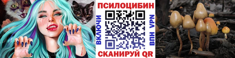 Псилоцибиновые грибы Psilocybine cubensis  Якутск 
