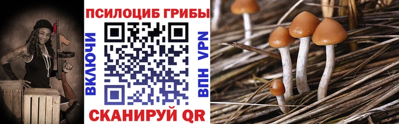 Псилоцибиновые грибы MAGIC MUSHROOMS Якутск