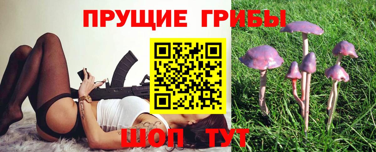 Псилоцибиновые грибы GOLDEN TEACHER Якутск