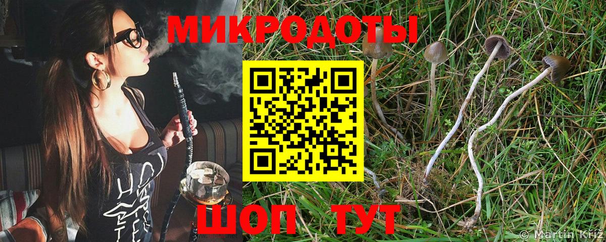 Галлюциногенные грибы Cubensis  Вход с VPN  Якутск  Галлюциногенные грибы GOLDEN TEACHER 